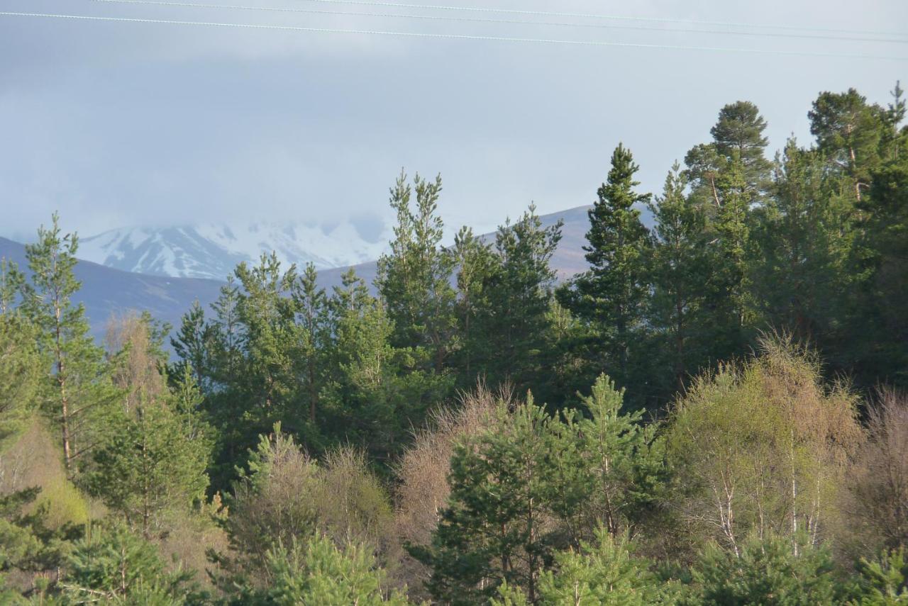 Apartmán Tanleys - Skye Pod Grantown-on-Spey Exteriér fotografie
